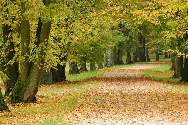 městský park